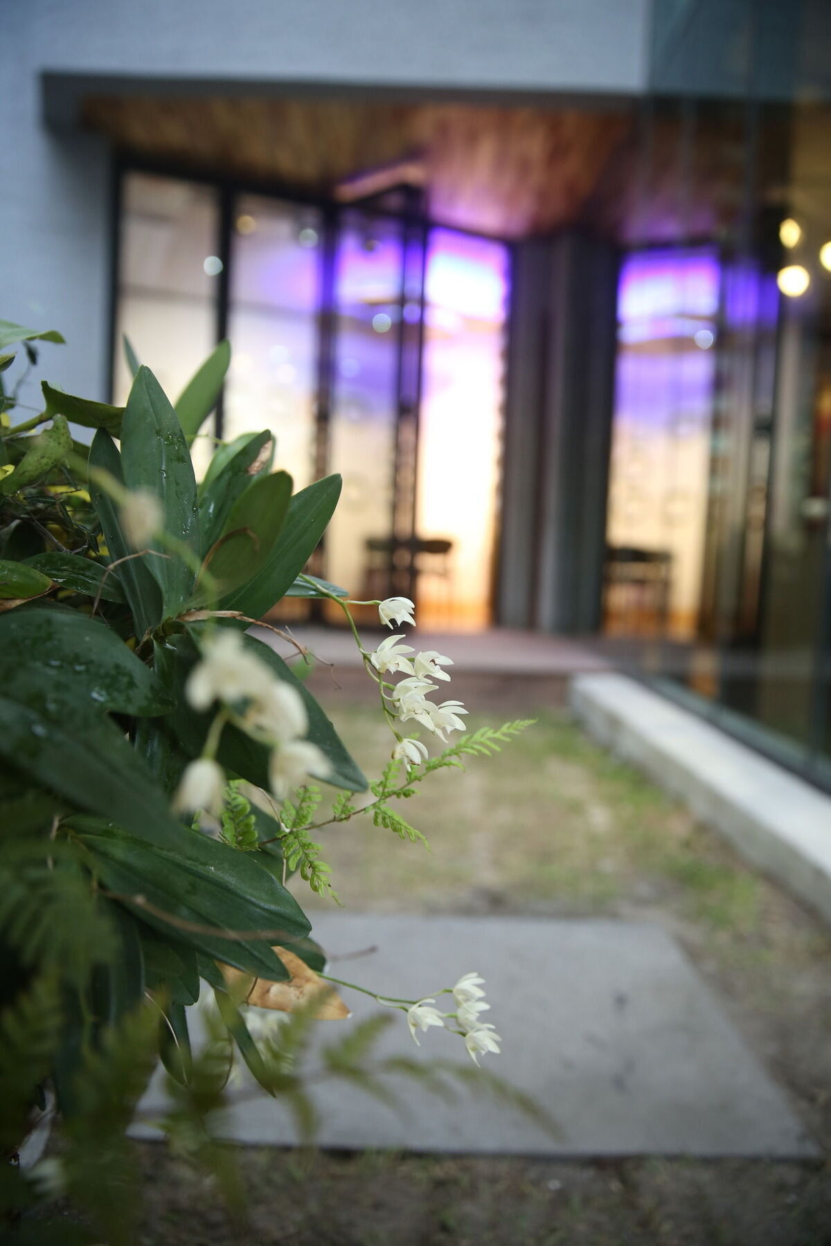 Sogondak House Jeju Exterior foto